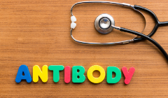 Antibody