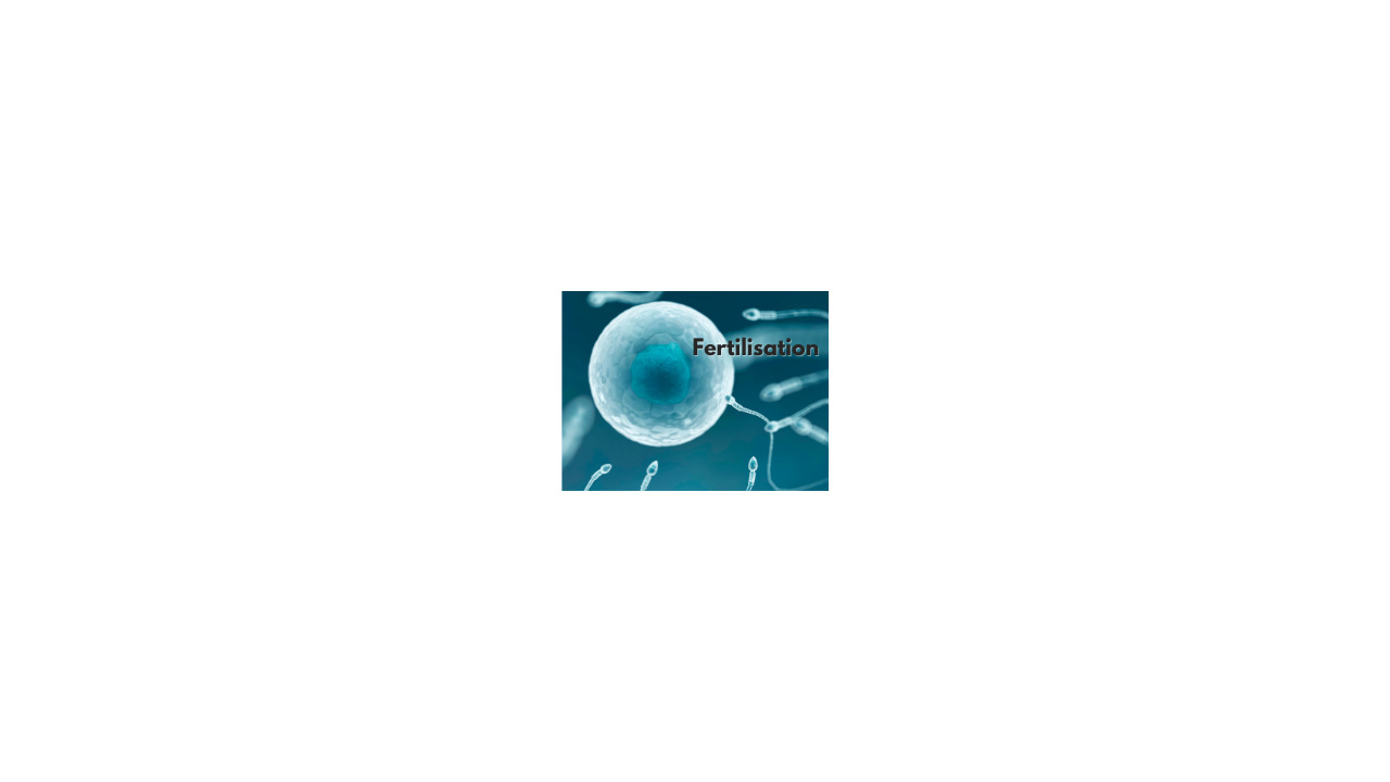 Fertilisation