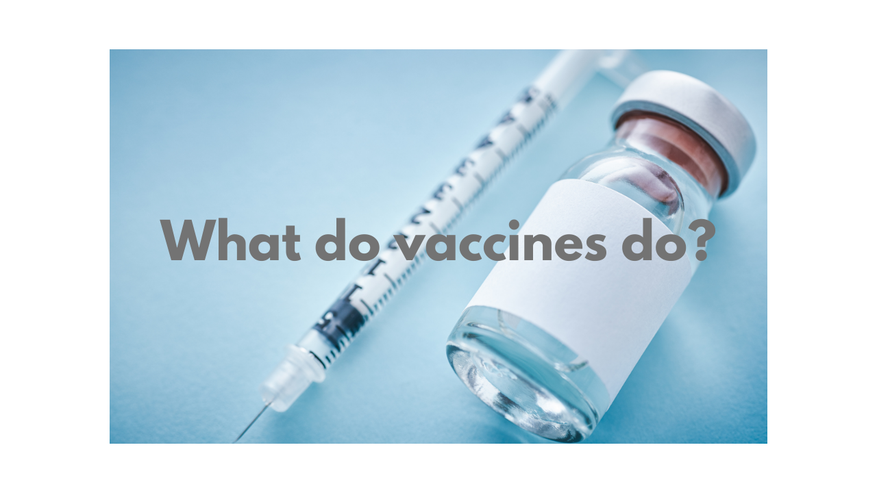 What do vaccines do