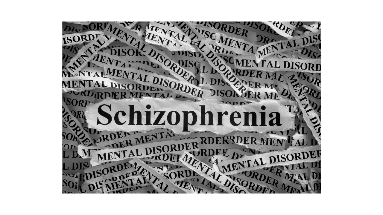 What is Schizophrenia?